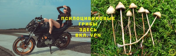 гашиш Абинск