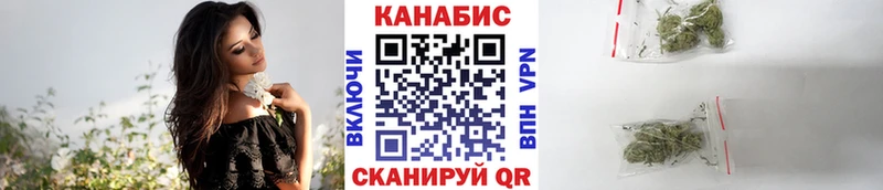 Конопля гибрид  Элиста 